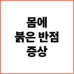 몸-붉은-반점-증상